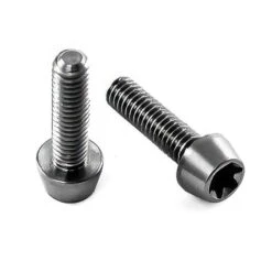 Titan Schraube M4 X 25mm - Torx T25 Konischer Kopf